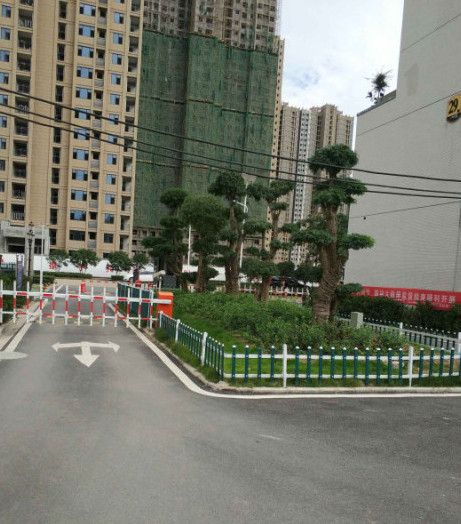 萬豐豐澤園 萬豐豐澤園