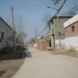 大王莊村(河北黃驊市齊家務鄉下轄村) 大王莊村(河北黃驊市齊家務鄉下轄村)
