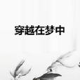 穿越在夢中 穿越在夢中