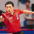 李平(卡達男子桌球運動員) 李平(卡達男子桌球運動員)