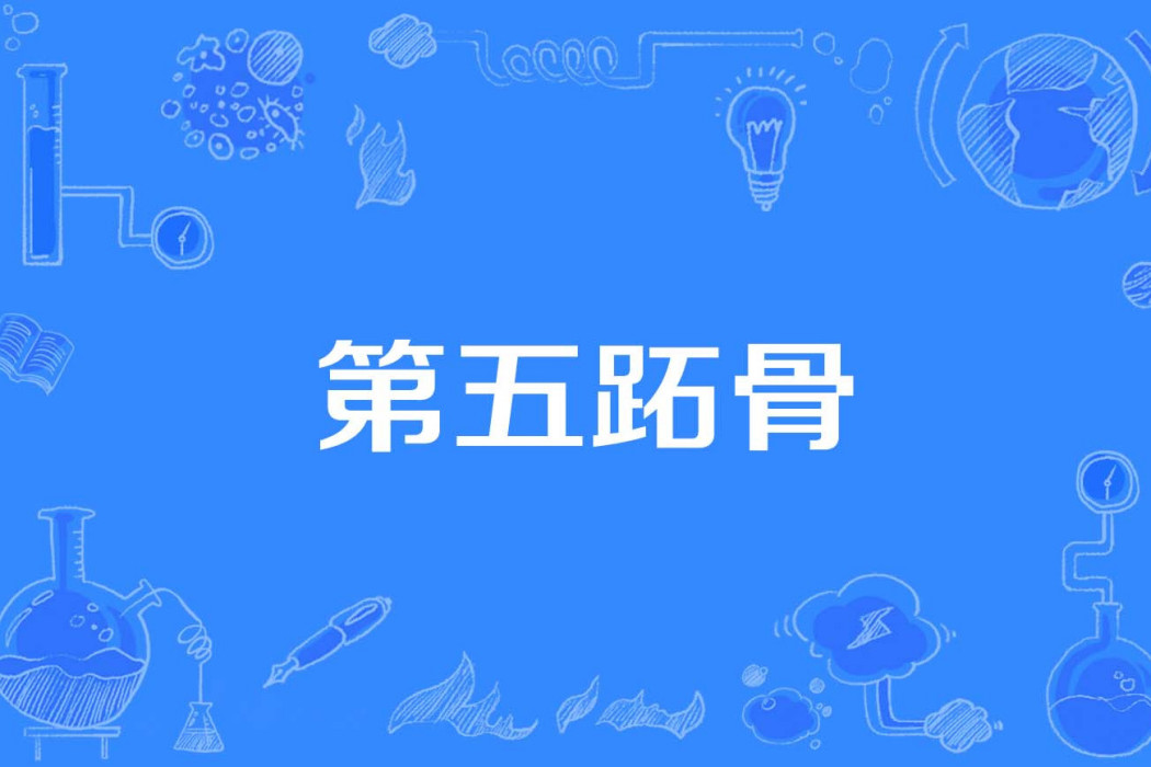 第五跖骨 第五跖骨