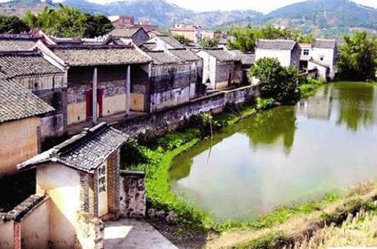 浪川垌 浪川垌