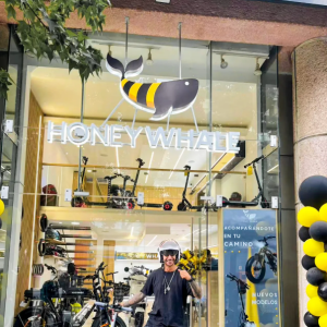 HONEYWHALE HONEYWHALE