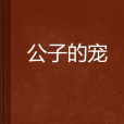 公子的寵 公子的寵