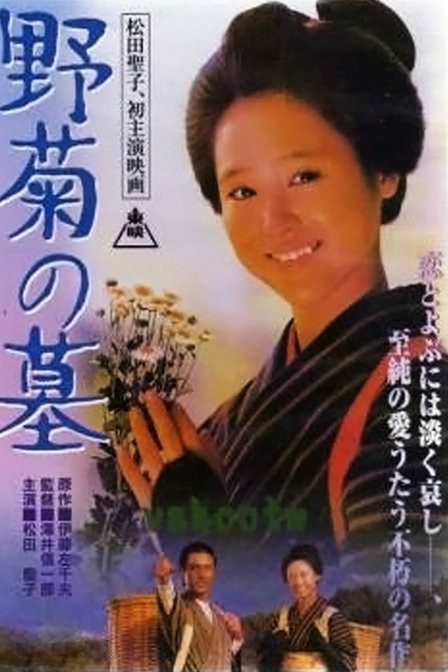 野菊之墓(1981年澤井信一郎執導電影)