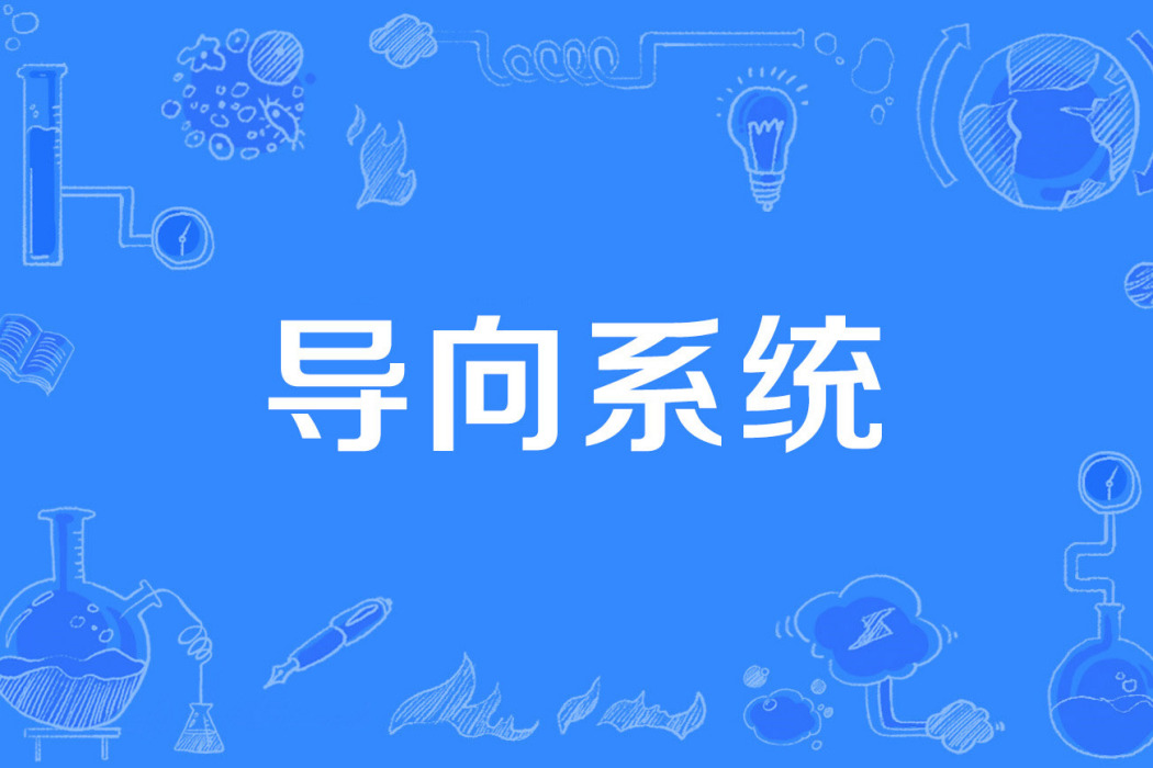 導向系統 導向系統