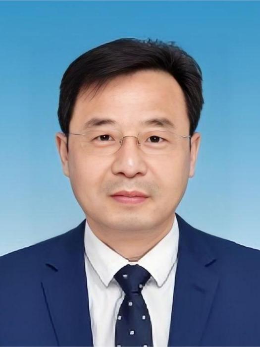 張學軍(潛山市委組織部常務副部長) 張學軍(潛山市委組織部常務副部長)