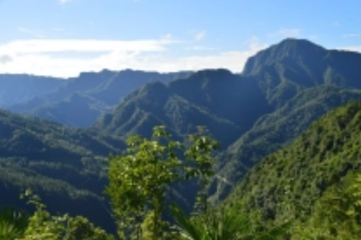 樅陽坡村 樅陽坡村