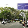 楊橋東路 楊橋東路