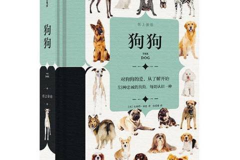狗狗(2019年中信出版社出版的圖書) 狗狗(2019年中信出版社出版的圖書)