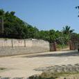 塘田村(廣東省從化市呂田鎮下轄村) 塘田村(廣東省從化市呂田鎮下轄村)