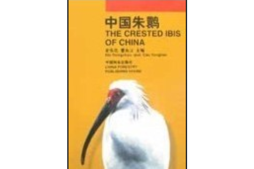 中國朱䴉 中國朱䴉