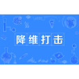 降維打擊(一種攻擊方式) 降維打擊(一種攻擊方式)