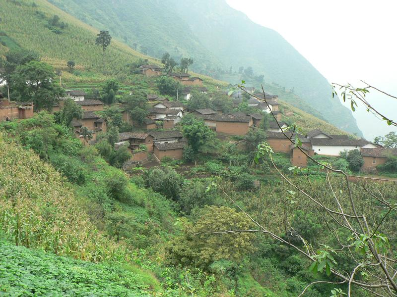 國坪村 國坪村