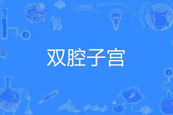 雙腔子宮 雙腔子宮
