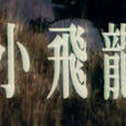 小飛龍(1982年余漢祥執導的台灣電影)