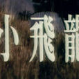 小飛龍(1982年余漢祥執導的台灣電影) 小飛龍(1982年余漢祥執導的台灣電影)