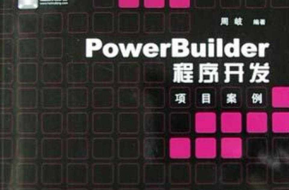 PowerBuilder程式開發項目案例