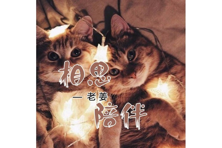 相思陪伴 相思陪伴