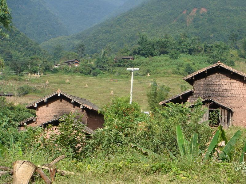大黑樹村 大黑樹村