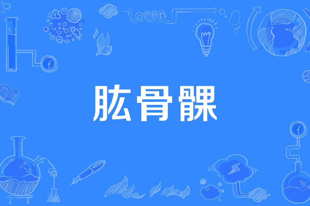 肱骨髁