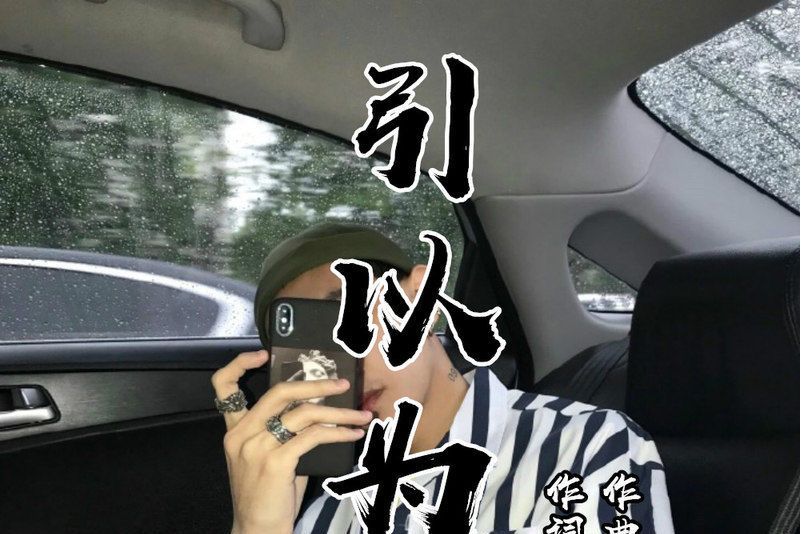 引以為傲(2019年嗨小點演唱的歌曲) 引以為傲(2019年嗨小點演唱的歌曲)