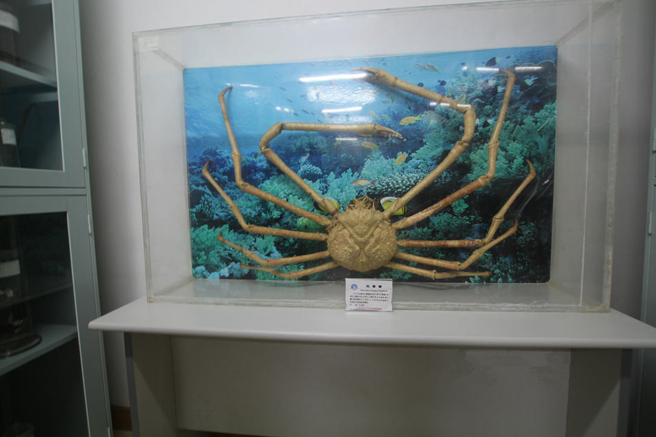 中國科學院海洋生物標本館