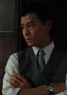 天涯歌女(2008年張柏芝主演電視劇)