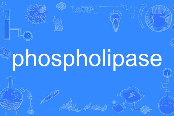 phospholipase phospholipase