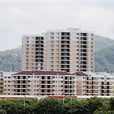 坎市鎮