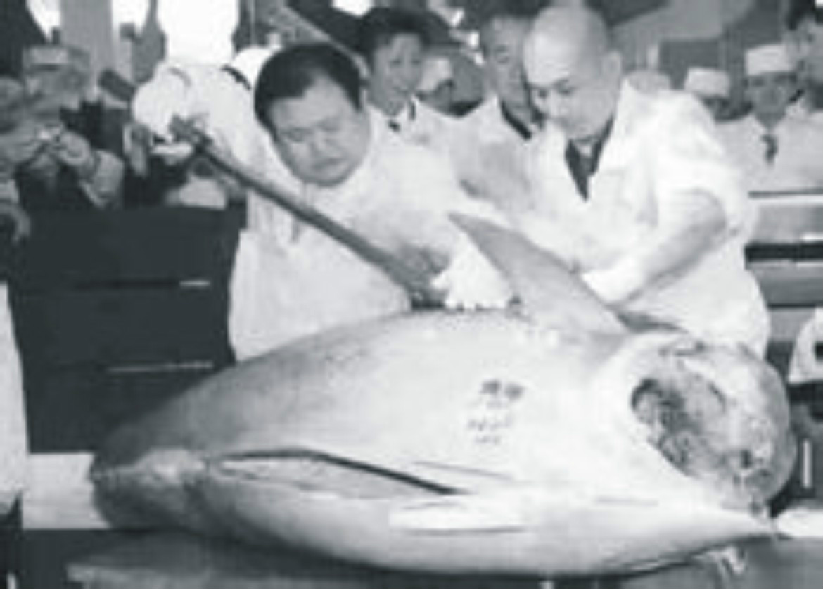 日本拍賣180萬美元史上最貴鮪魚