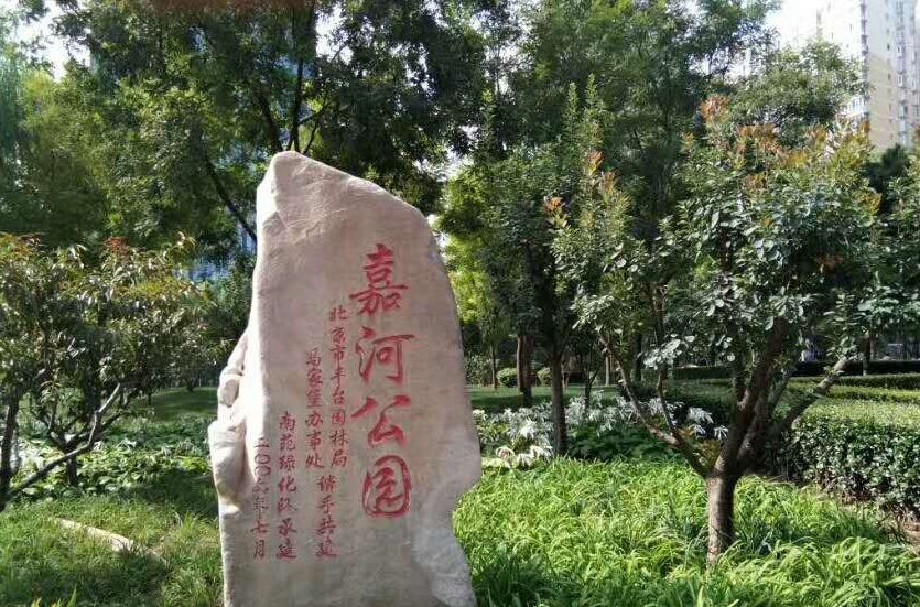 嘉河公園 嘉河公園