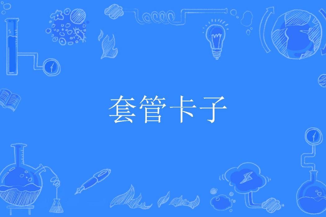 套管卡子 套管卡子