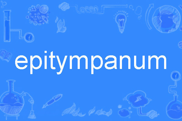 epitympanum epitympanum