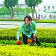 園藝師 園藝師