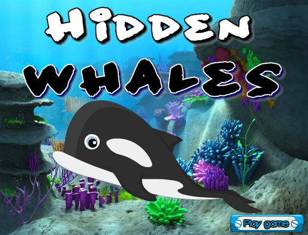 尋找隱藏的鯨魚