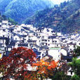 芳村村(安徽省黃山市黃山區湯口鎮下轄村)