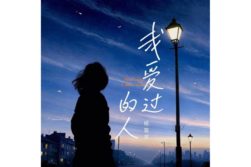 我愛過的人(楊菲洋演唱的歌曲) 我愛過的人(楊菲洋演唱的歌曲)