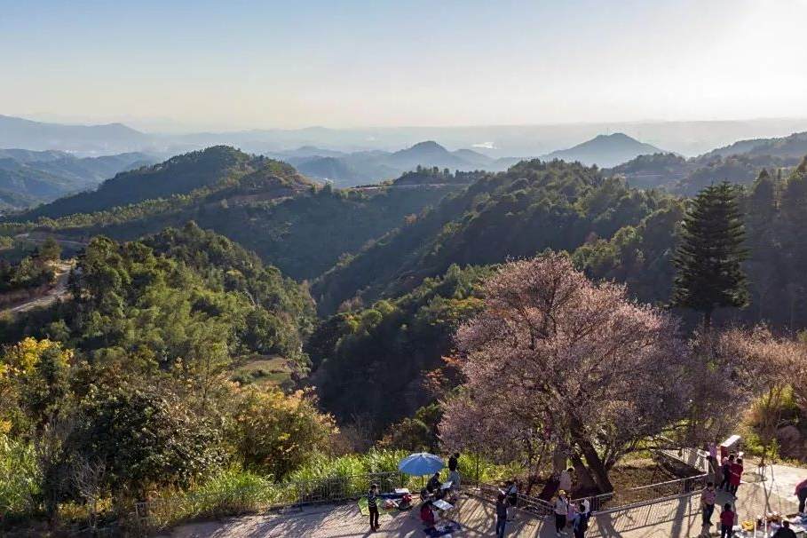 潮塘村(廣東省梅州市梅縣區城東鎮下轄村) 潮塘村(廣東省梅州市梅縣區城東鎮下轄村)