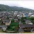 鐘家寨村 鐘家寨村