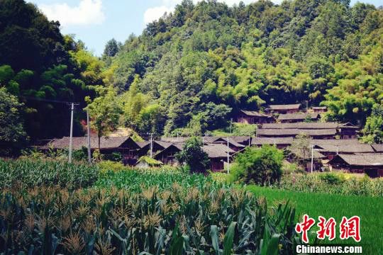 猛董村 猛董村