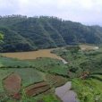 登樓山村