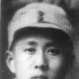 任天石 任天石