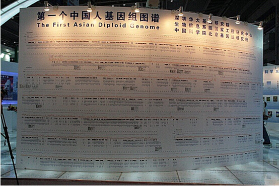 中國人基因組圖譜