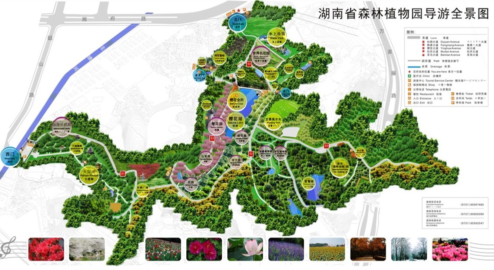 湖南省森林植物園