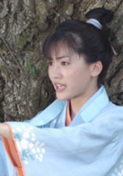 里見八犬傳(日本2006年瀧澤秀明主演電視劇SP)