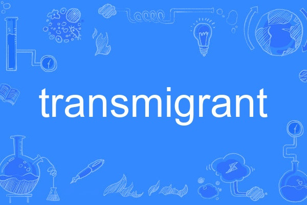 transmigrant transmigrant