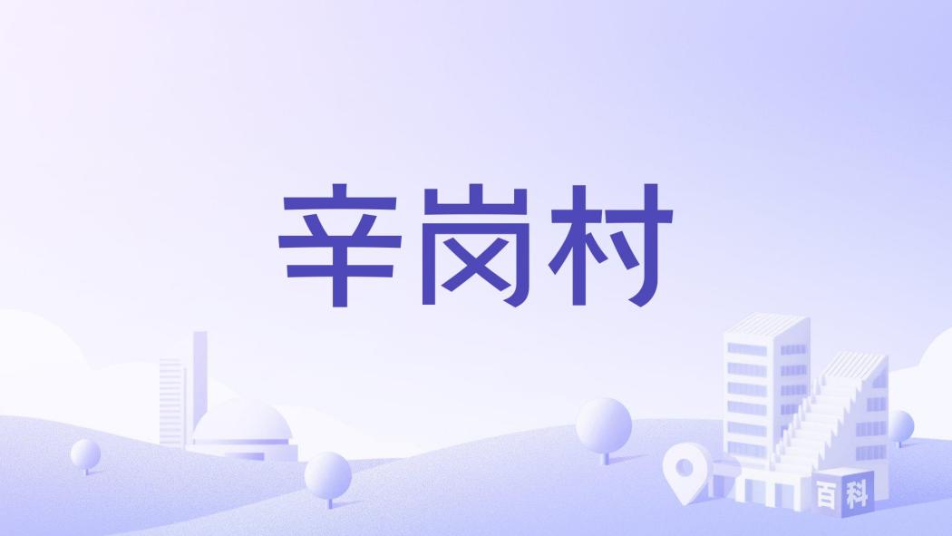 辛崗村