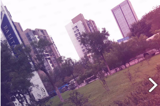 津台國際 津台國際