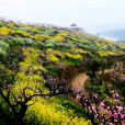 城山溝 城山溝